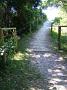 crowdy-national-park 016